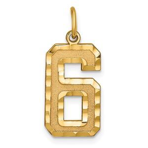 14k Yellow Gold, Varsity Collection, Large D/C Pendant Number 6